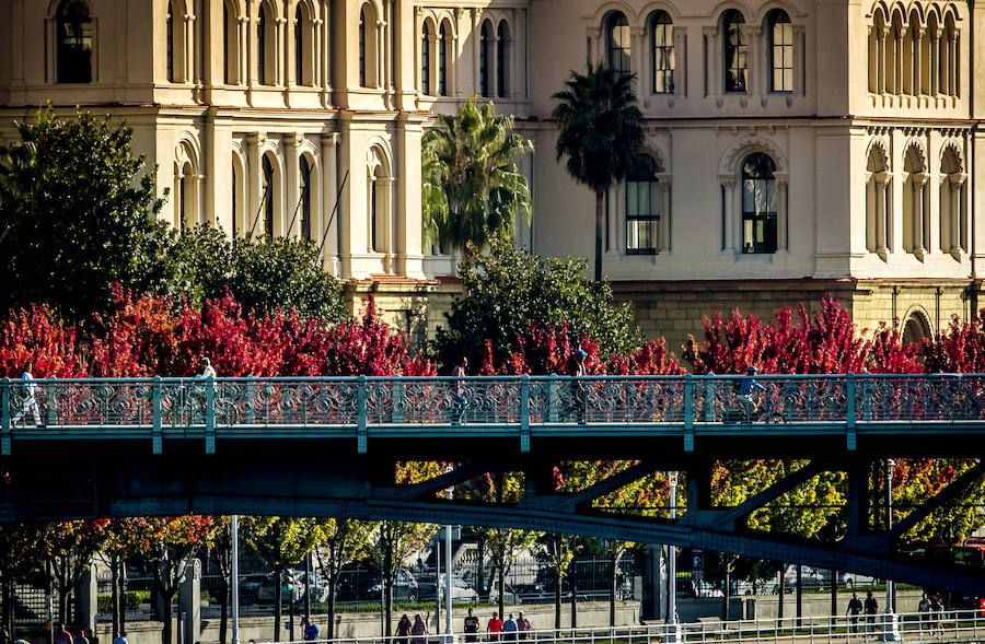 El puente y la Universidad de Deusto.