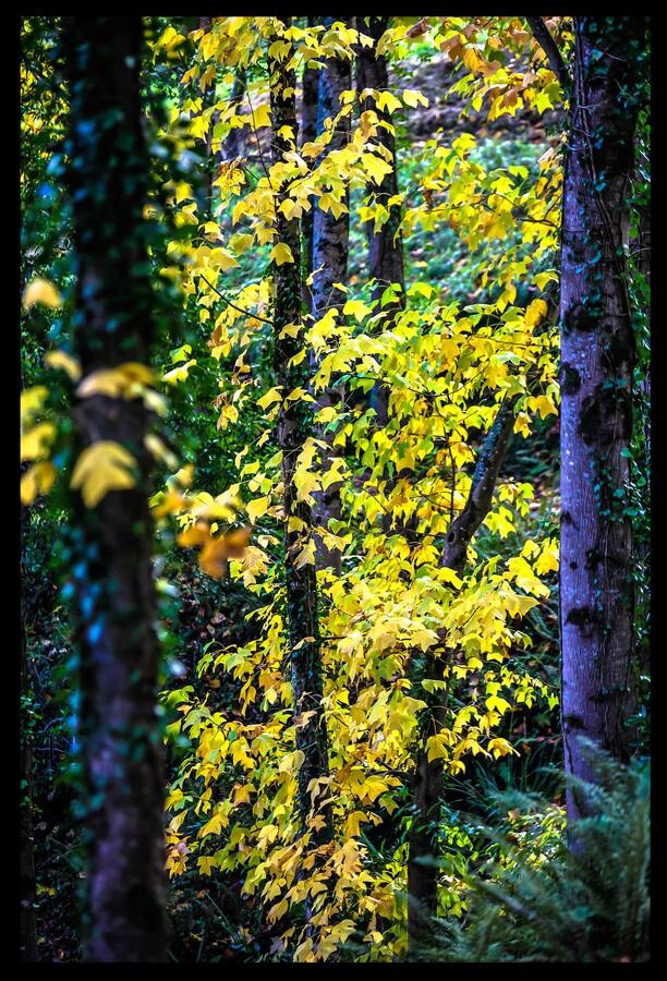 La reserva de la biosfera presenta unos paisajes naturales dignos de admirar.