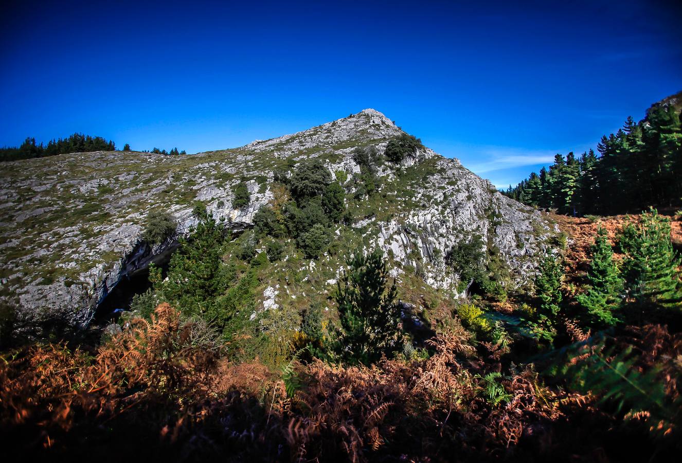 El Gobierno vasco protege las cavernas de Baltzola y Axlor, en Dima, mediante la declaración de Bien de Interés Cultural