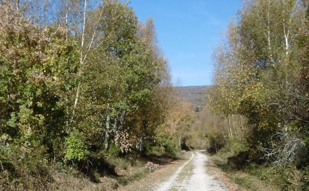 Imagen principal - Antigua vías del tren, boca de entrada al túnel de la Engaña y cabañas pasiegas.