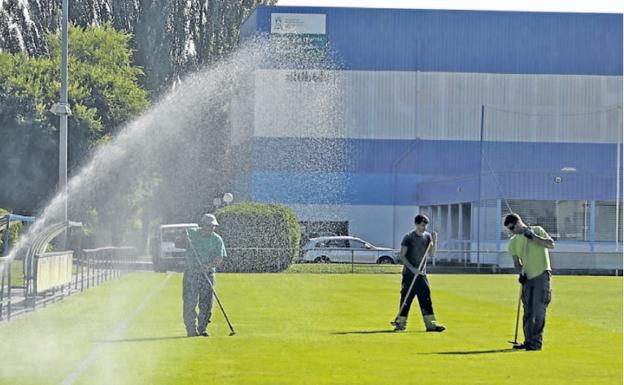 Tres operarios realizan labores de mantenimiento en uno de los campos de las instalaciones de Betoño. 