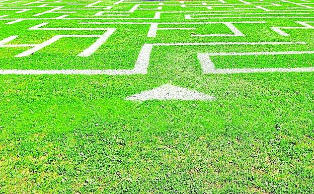 Ziganda se pierde en el laberinto del centro del campo