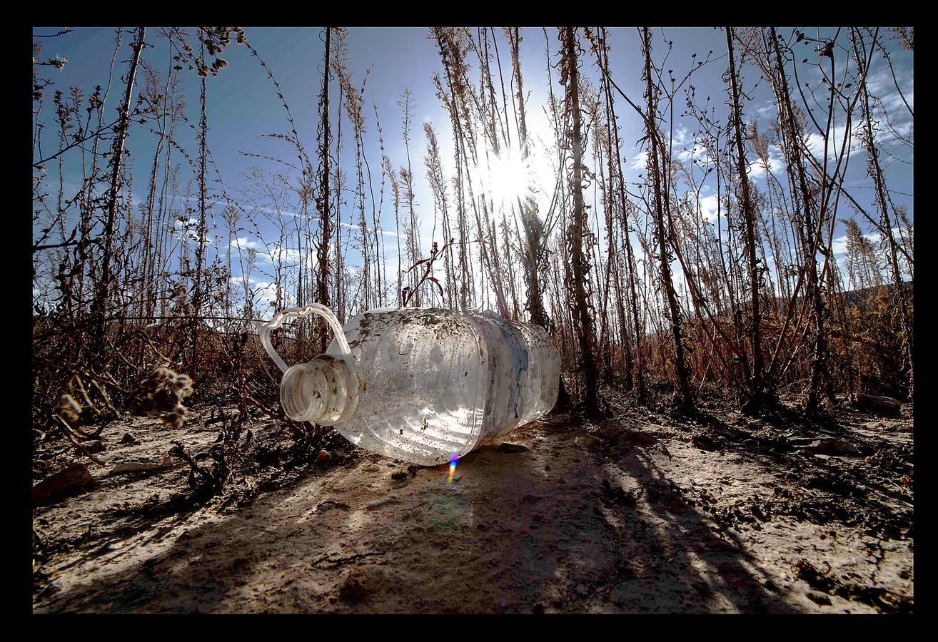Una botella de plástico en la reserva de Buendía.