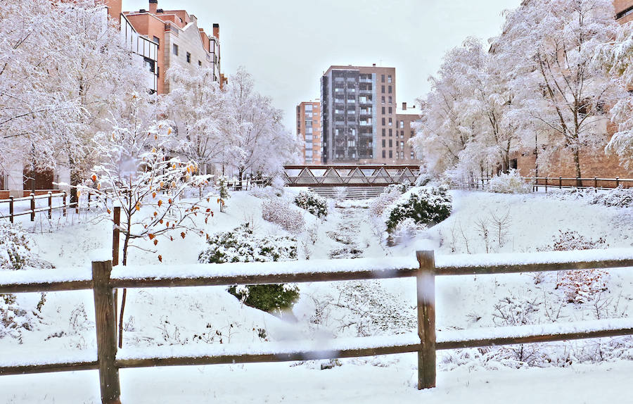 Las previsiones se han cumplido y un manto blanco va tomando todo Álava. 