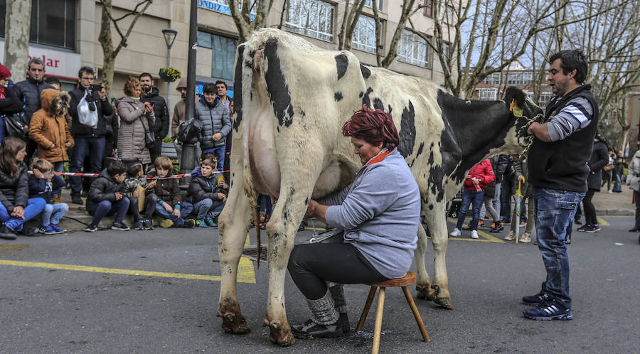 Una ternera de Laukiz de más de 800 kilos se alzó con el singular premio de la feria, que atrajo a miles de visitantes