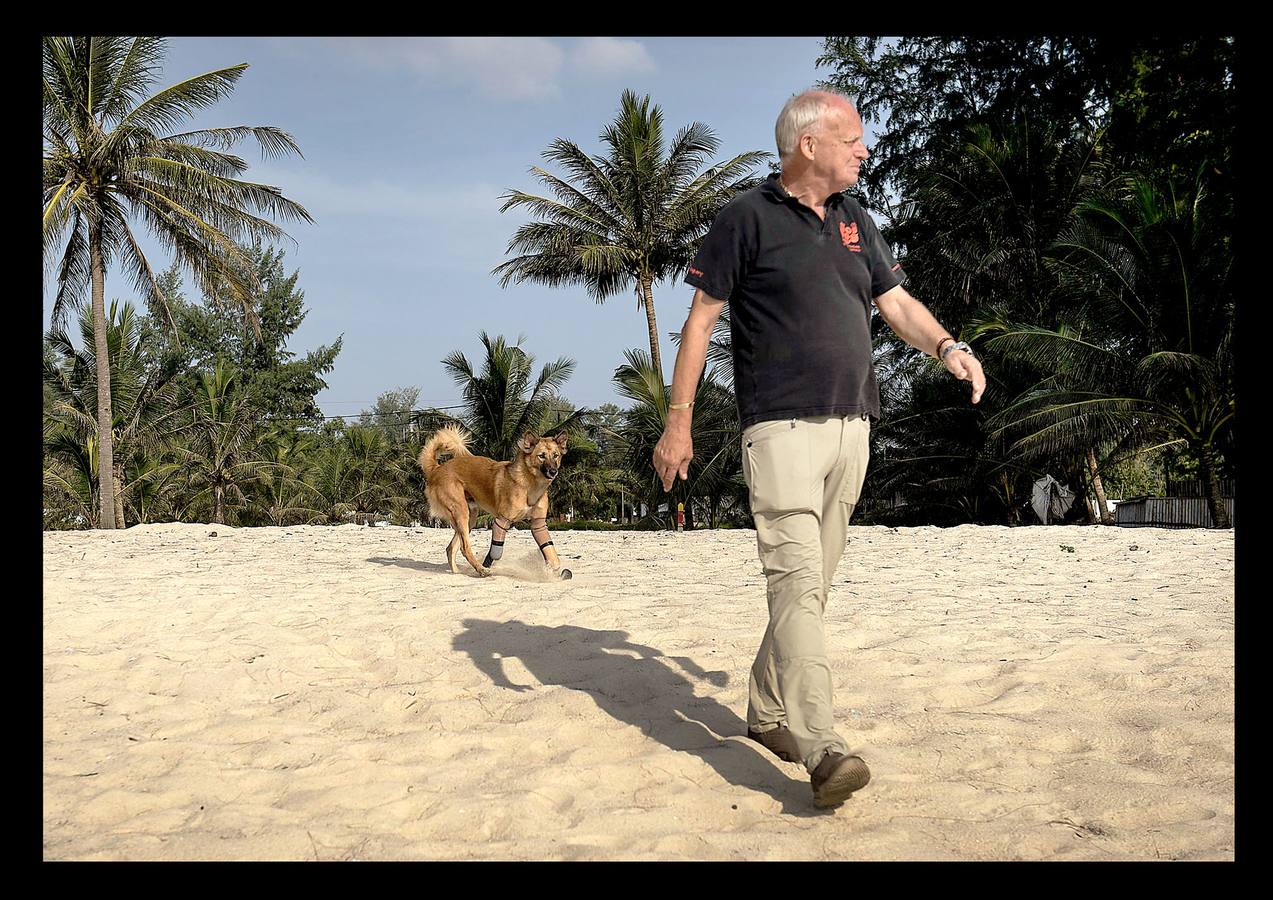 Cuando Cola era solo un cachorro, un vecino de las afueras de Bangkok (Tailandia) le amputó brutalmente las patas delanteras, a golpes de espada, porque el animal había mordisqueado sus zapatos. Gill Daley, que sufrió la amputación de las piernas como consecuencia de una infección, y su esposo John (a quien vemos en las fotografías), descubrieron por casualidad la historia de Cola, decidieron adoptar al animal en su refugio en Phuket y le adaptaron unas prótesis basadas en las palas que utilizan algunos deportistas paralímpicos. Hoy, Cola es el primer perro del mundo en usar este tipo de prótesis, pero Gill no ha podido verlo. Falleció en febrero