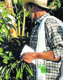 Imagen secundaria 2 - Bilbaínos junto a la cascada de la cañada La Cristalina y, a la derecha, cafetales del pueblo.