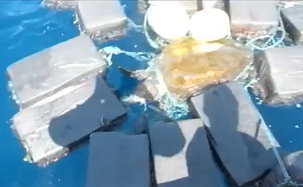 La tortuga, atrapada entre los fardos. 