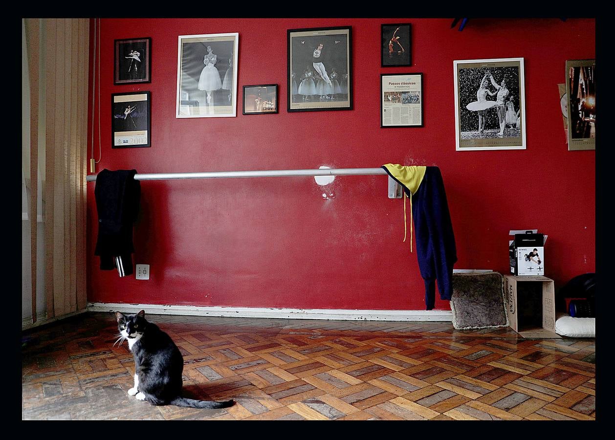 Los trabajadores del Teatro Municipal de Río, uno de los más prestigiosos de América Latina, dependen directamente del Estado de Río de Janeiro, que el pasado mes de julio decretó la situación de "calamidad financiera" para todo su territorio. La situación ha llegado a tal extremo que algunas bailarinas del ballet del teatro buscan dinero extra limpiando casas de amigas y el primer bailarín, Filipe Moreira, tuvo que vender su coche y ahora usa el de su madre para trabajar como conductor de Uber. El pasado primero de mayo se representó la ópera Norma, de Bellini, en forma de concierto, porque el coro debía ir a las funciones todos los días y no tienen dinero para desplazarse.