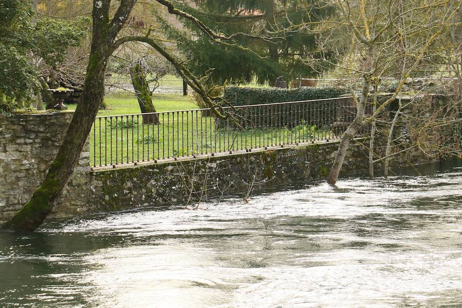 Una de las fincas de cereal anegada completamente en la vega de Arroiabe, muy lejos del cauce normal del Zadorra.