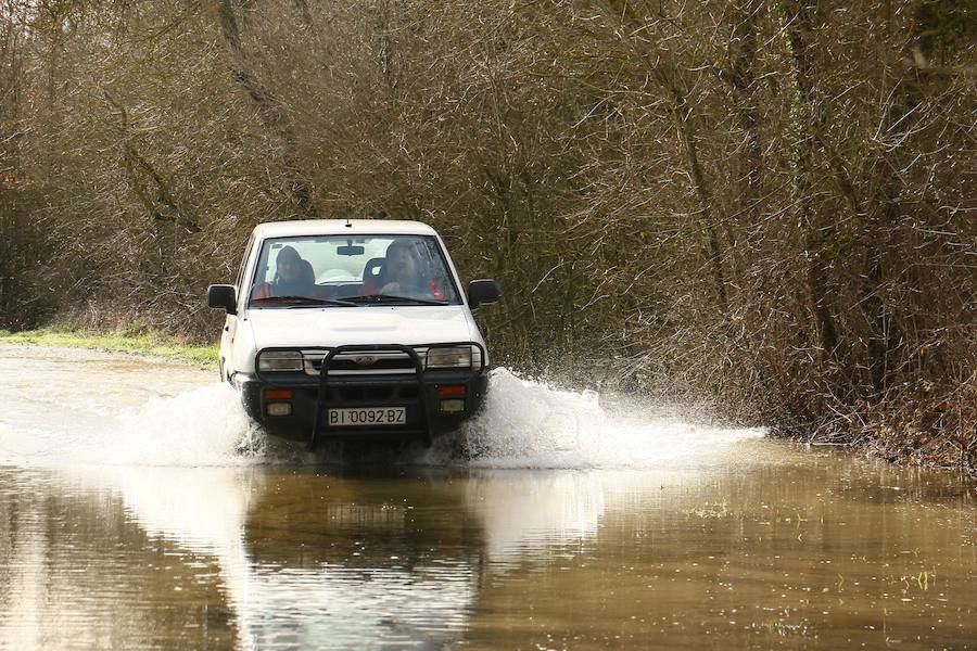 Una de las fincas de cereal anegada completamente en la vega de Arroiabe, muy lejos del cauce normal del Zadorra.