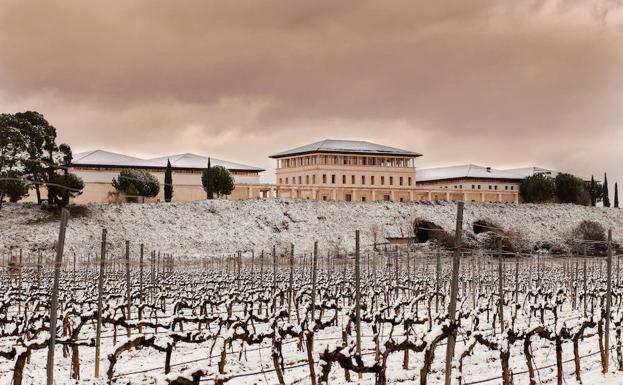 Rioja Vega abrió sus puertas hace más de 130 años y continúa con el mismo espíritu emprendedor. 