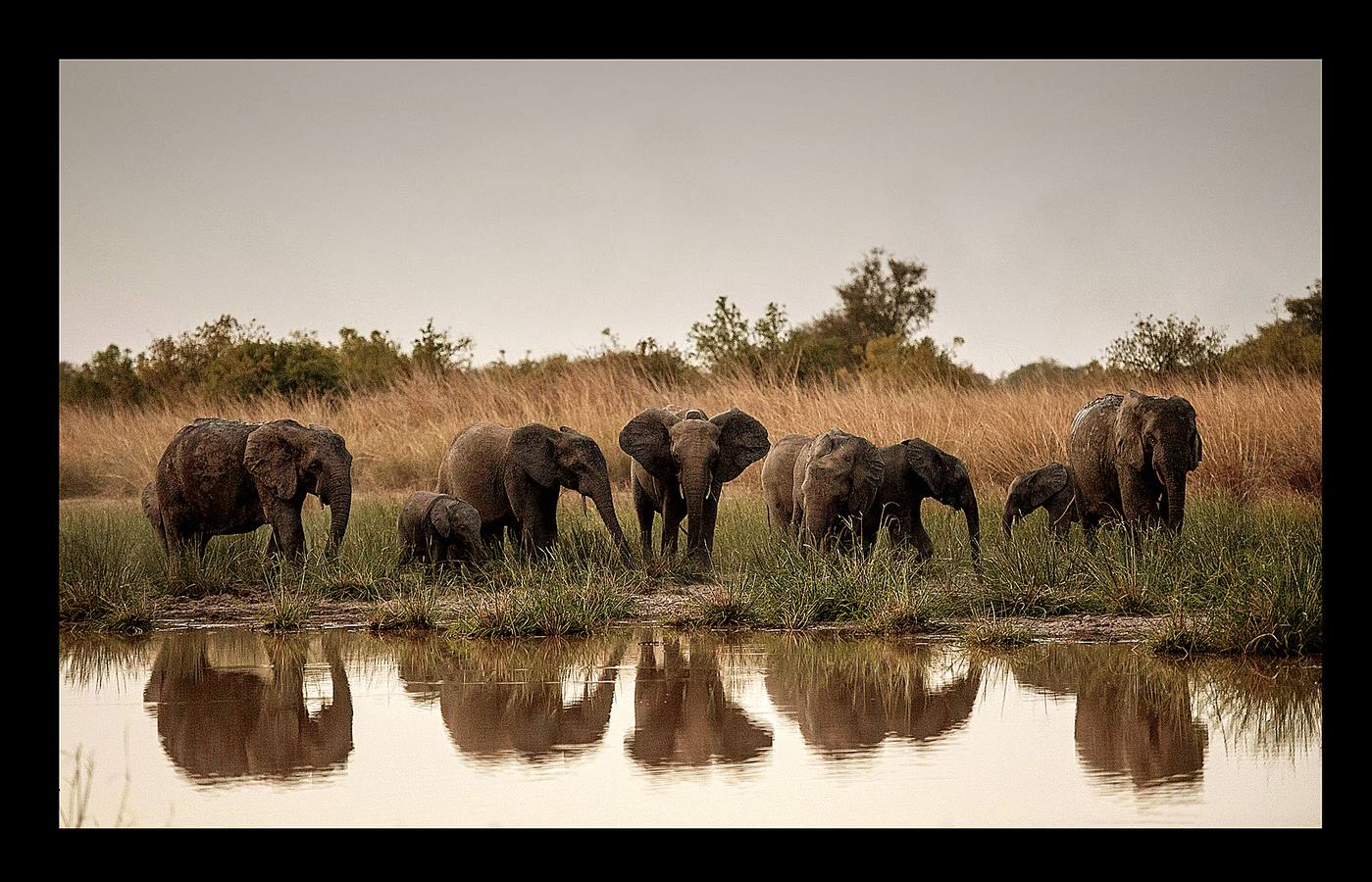 El parque nacional de Pendjari es uno de los ecosistemas más grandes e intactos de Africa. Está situado al noroeste de Benin, junto al río que le da nombre, y tiene una extensión de 2700 kilómetros cuadrados. Entre la gran riqueza de su fauna se encuentran las poblaciones de elefantes, leones, hipopótamos, búfalos y múltiples especies de aves. En los últimos tiempos el gobierno de Benin ha creado una brigada especial para asegurar y proteger la vida salvaje y prevenir la actividad de los cazadores furtivos. Una actuación que se desarrolla en el propio parque, orientada a su conservación y a promover el turismo.