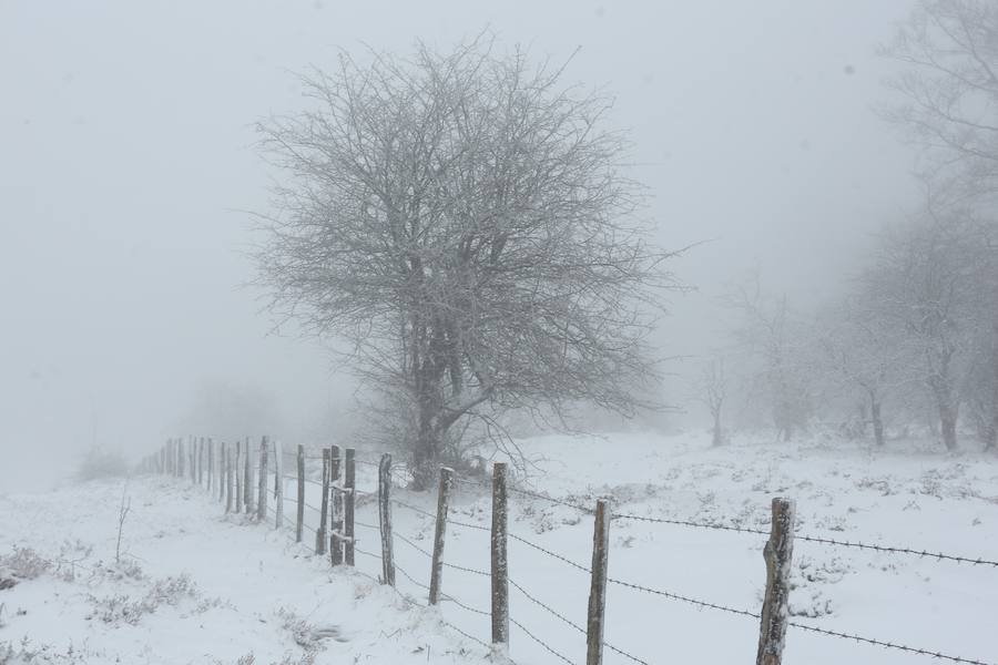 La nieve cubre de blanco el territorio alavés