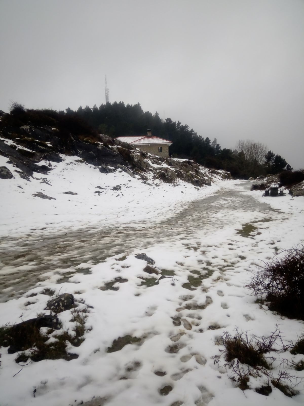 El Pagasarri cubierto de nieve. 