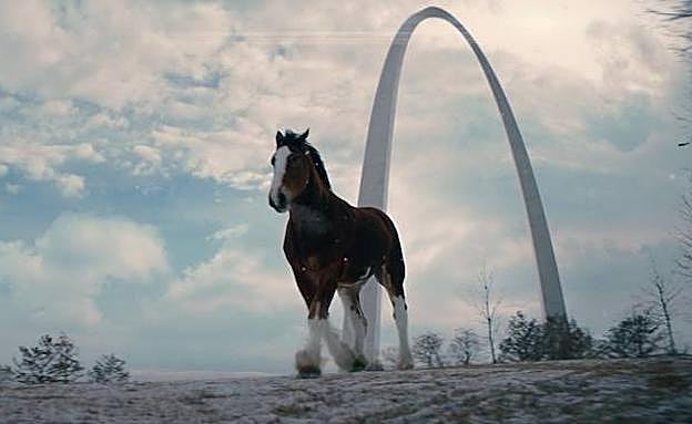 Un fotograma del anuncio de Budweiser rodado por el getxotarra Javier Mena.