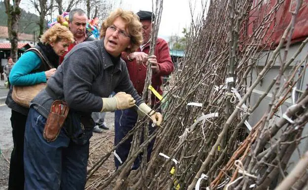 La primera feria del año en Lea Artibai siembra Markina de plantas y flores  | El Correo