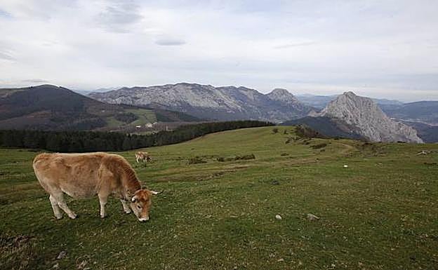 Los propietarios de terrenos en Urkiola consideran que cada vez tienen más obligaciones y menos ayudas  
