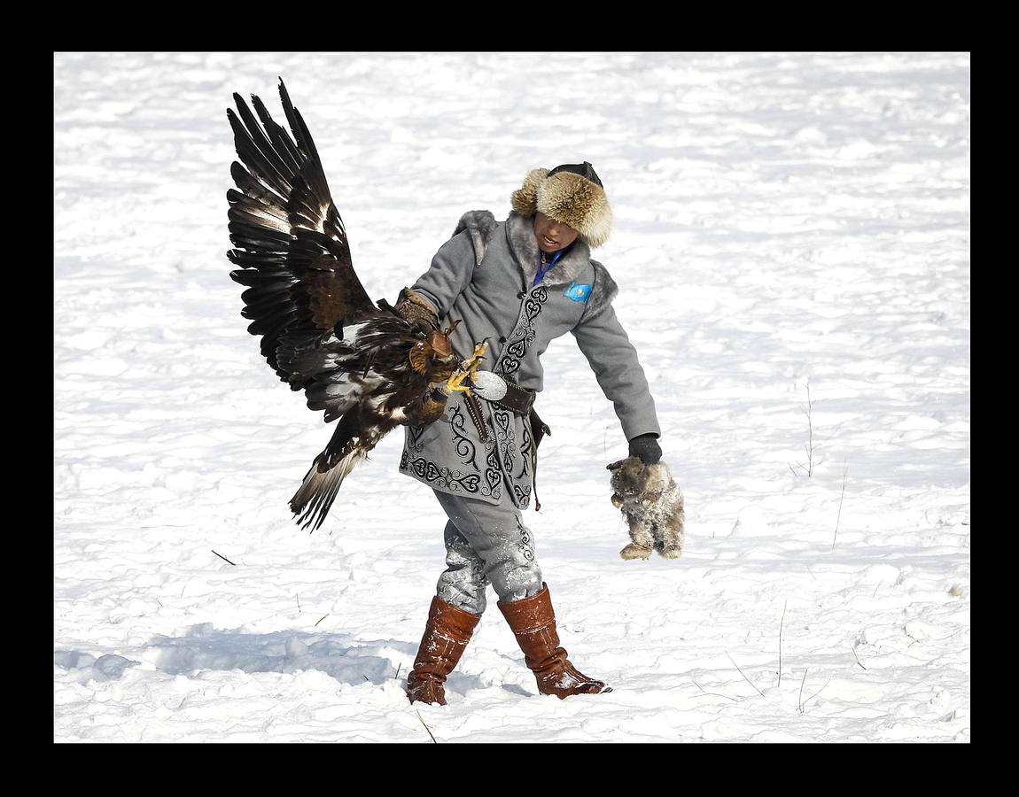 El águila es un animal tan importante en la cultura de Kazajistan que simboliza la libertad y forma parte de su bandera nacional. Con la llegada del frío, la estepa está cubierta de un manto copioso de nieve y las águilas reales vuelan a las órdenes de los cetreros. La cetrería, arte de criar, cuidar y adiestrar águilas, halcones y demás aves que sirvan para la caza es una de las prácticas ancestrales del pueblo kazajo que pasa de generación en generación y constituye una tradición nacional. El hipódromo de Almaty, en el país asiático, es el escenario de la competición de caza a la que pertenecen las imágenes, un tipo de torneo celebrado con el objeto preservar las aves de presa, que se encuentran en peligro de extinción.