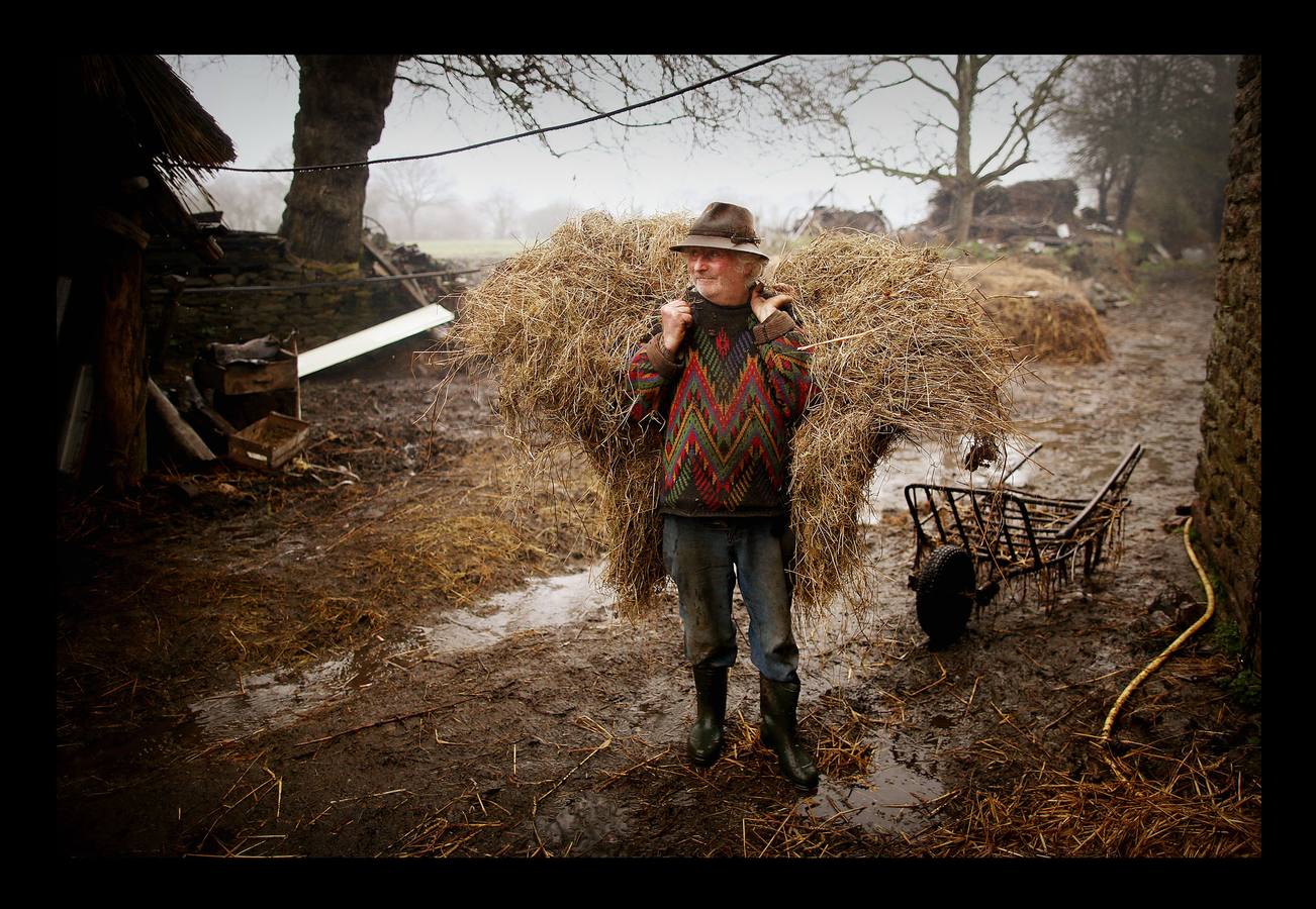 Cuando la maquinaria agrícola revolucionó la agricultura francesa en los años posteriores a la Segunda Guerra Mundial, un joven Jean-Bernard Huon le dio la espalda a la nueva tecnología. Medio siglo después, en su destartalada granja de Riec-sur-Belon, en un rincón del sur de Bretaña, Jean-Bernard -70 años y una barba muy blanca- todavía usa bueyes para arar sus campos, ordeña sus ocho vacas, muele la harina a mano y recoge incansable el estiércol para fertilizar los cultivos que alimentan a su ganado. "Soy un extraño feliz", dice Huon en la granja donde vive sin agua caliente: "Nunca he sido rico, pero ¿qué me importa?".