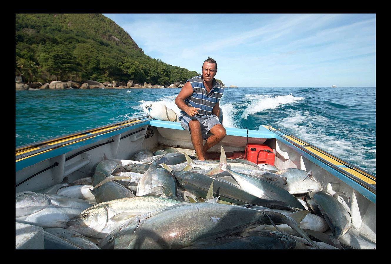 Las islas Seychelles son un paraíso. Corales, atolones, aves, cetáceos, bosques tropicales, playas rodeadas de vegetación y palmeras, arena blanca coralina. La naturaleza ha sido generosa con este archipiélago de colorido impresionante, situado en el Océano Índico, frente a la costa de Kenia, que el gobierno se siente obligado a preservar. Hace unos días se anunció la creación de un área marina protegida de más de 200.000 kilómetros cuadrados en torno al archipiélago -equivalente a la mitad del Mar Negro-, destinada a proteger el mar y la economía isleñas, que depende en buena medida de la pesca y el turismo.