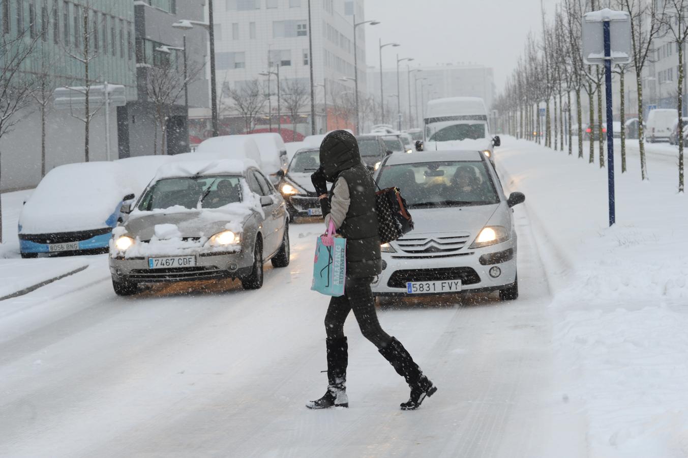 Fotos: Álava despide febrero bajo la nieve