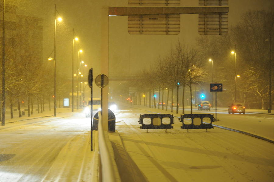 Fotos: Álava despide febrero bajo la nieve