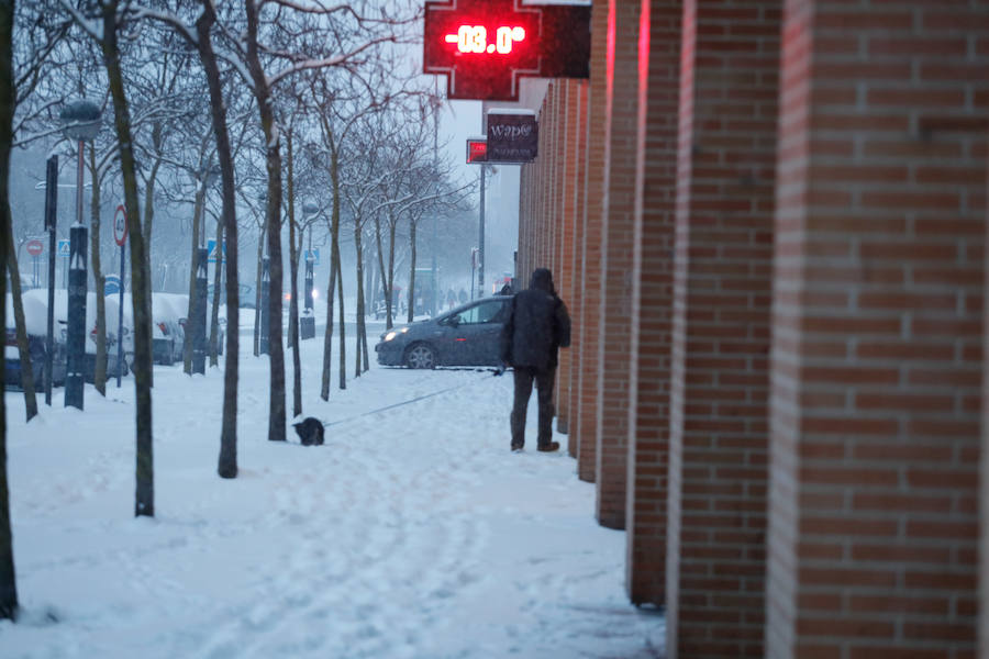 Fotos: Álava despide febrero bajo la nieve