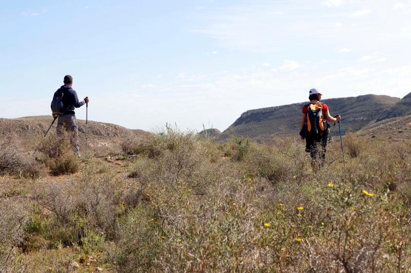 Cientos de personas participaron en las labores de rastreo para dar con el pequeño, de 8 años, en las que también participó la detenida por el crimen