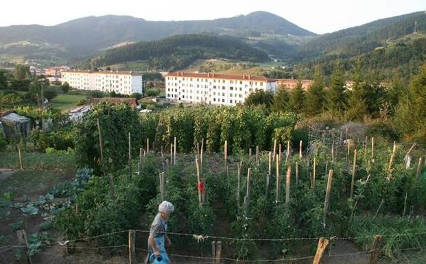 Terrenos agrarios en la zona de Pulla-Azkarreta. 