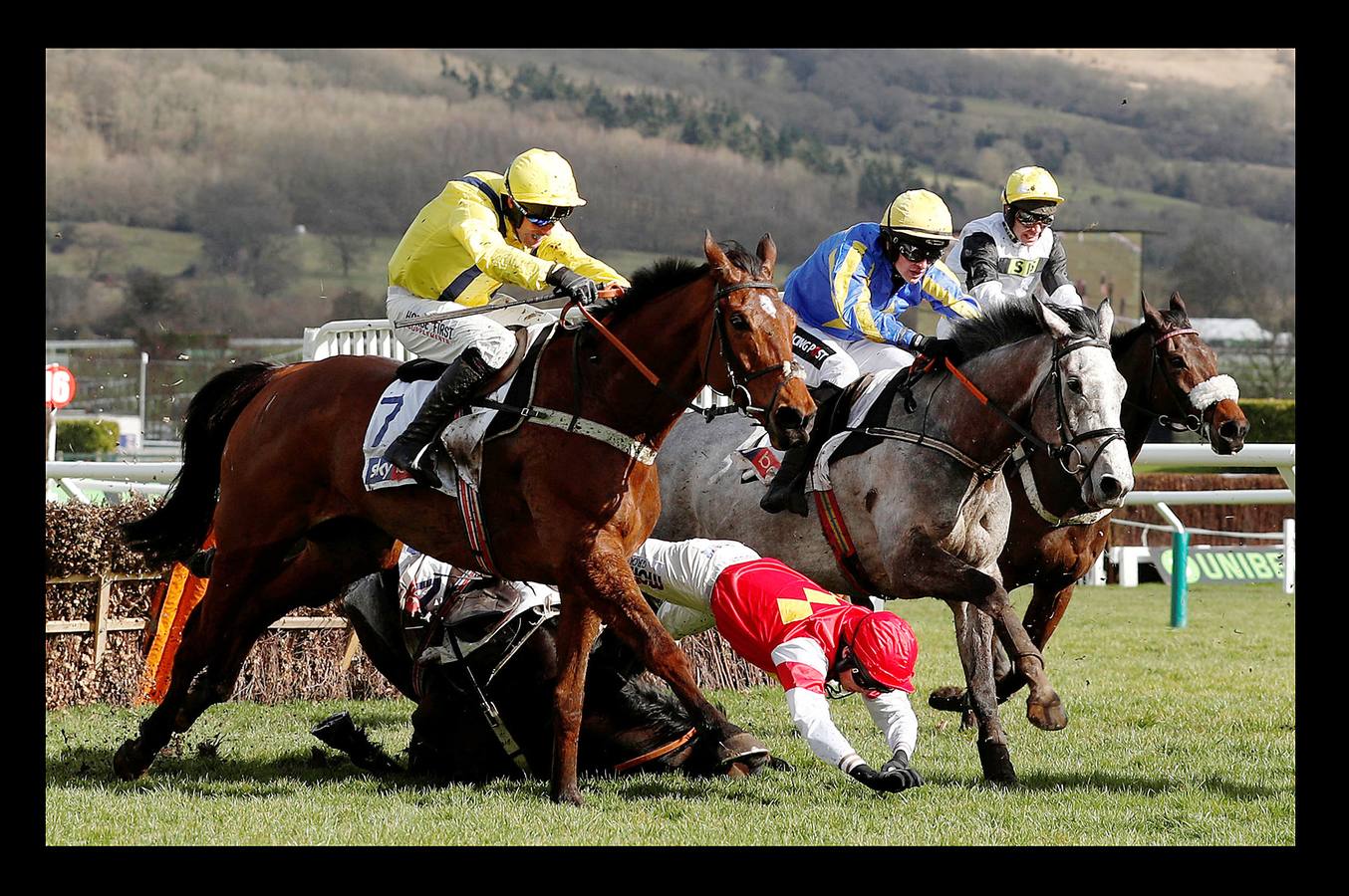 La temporada hípica en Gran Bretaña se abre en marzo con la carrera de Cheltenham, que es uno de los eventos más importantes del Reino Unido. Las carreras surgieron en esta ciudad balnearia situada en el condado de Gloucestershire, a unos 140 kilómetros al oeste de Londres, en el siglo XIX. Hay constancia de que su primera carrera se celebró en el año 1818, cuando se estableció un circuito en las colinas de Cotswolds, dando lugar al nacimiento del mítico hipódromo, si bien la inauguración oficial no se produjo hasta 1911. Aunque Ascot es la cita hípica por excelencia, Cheltenham no se queda atrás ya que durante cuatro días se congregan decenas de miles de personas y su premio es el segundo más importante del Reino Unido después del Grand National.