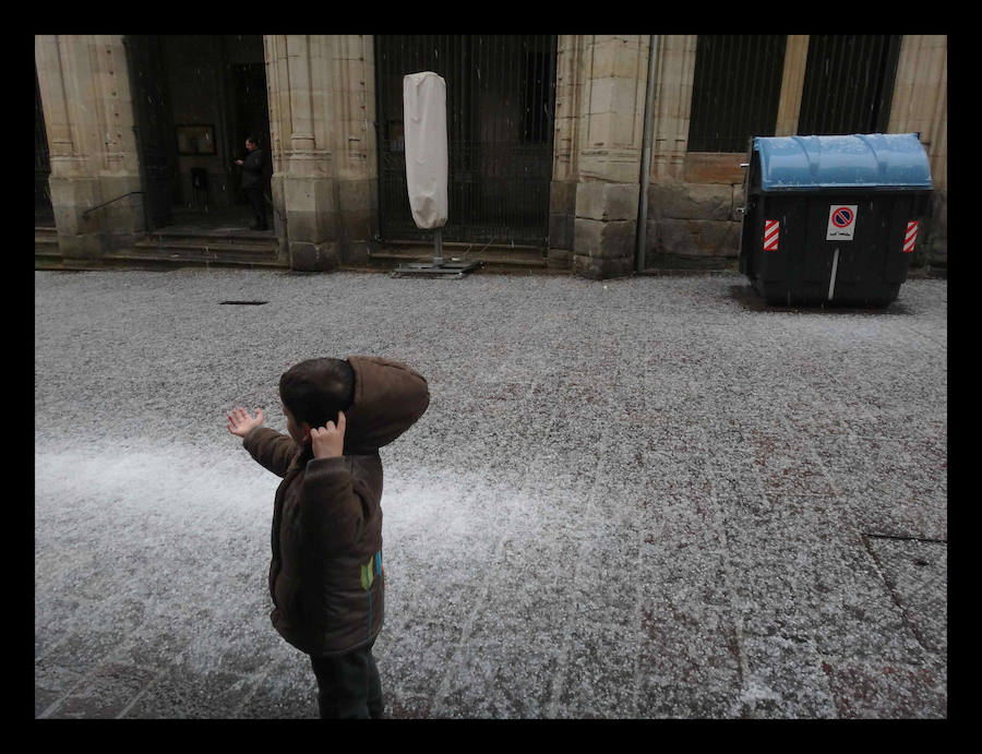 Fotos: Una fugaz granizada sorprende en Vitoria