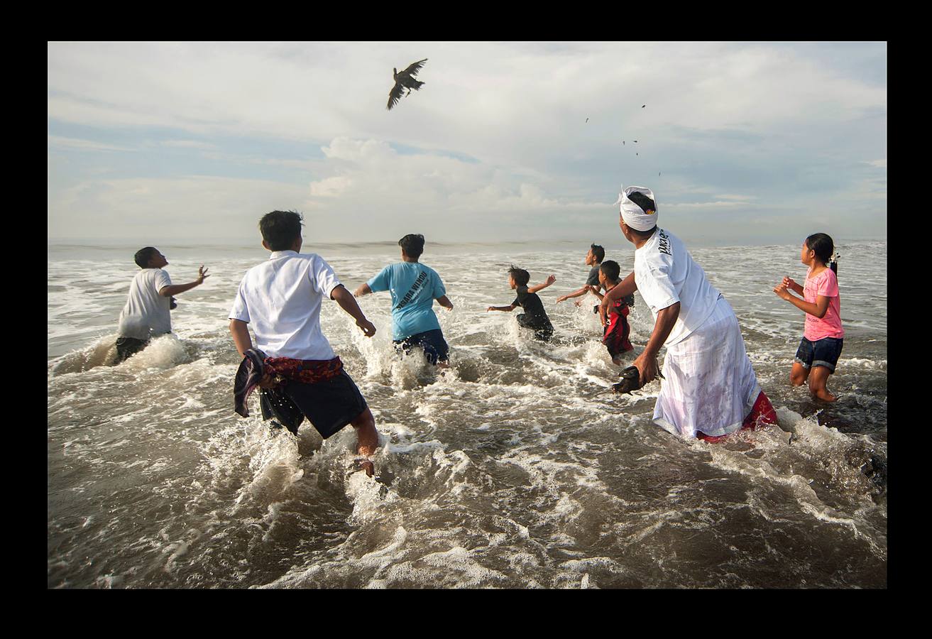 Durante el Nyepi o 'Día del Silencio', los habitantes de la isla indonesia de Bali no deben trabajar, comer, encender la luz ni realizar actividades que les procuren placer. Bali es la única isla que profesa mayoritariamente la religión hindú en Indonesia, un país en el que alrededor del 85 por ciento de los 240 millones de habitantes practican el islam. La celebración que los hinduistas llevan a cabo en esta isla durante el 'Nyepi' se traslada también a los turistas, a quienes se pide que permanezcan en sus hoteles y no acudan a las playas, restaurantes o comercios durante la jornada. Las fotografías muestran la celebración del Melasti, un ritual de purificación que se celebra en Bali, pocos días antes del Nyepi.