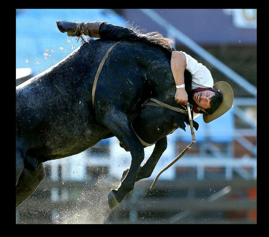 Se parece mucho a un rodeo en el lejano Oeste norteamericano, pero no es lo mismo. En las 'Jineteadas' el gaucho cabalga un potro no domado con el objeto de resistir ocho segundos encima y ofrecer el mejor espectáculo. Las jineteadas son una parte de las actividades que se celebran en Montevideo, Uruguay, con motivo de la Semana Criolla. Un evento que nació en 1925 y atrae a jinetes de países vecinos como Argentina y Brasil, que este año ha sido seguido por cerca de 200.000 personas. En abril de 2006, fue declarado deporte nacional.