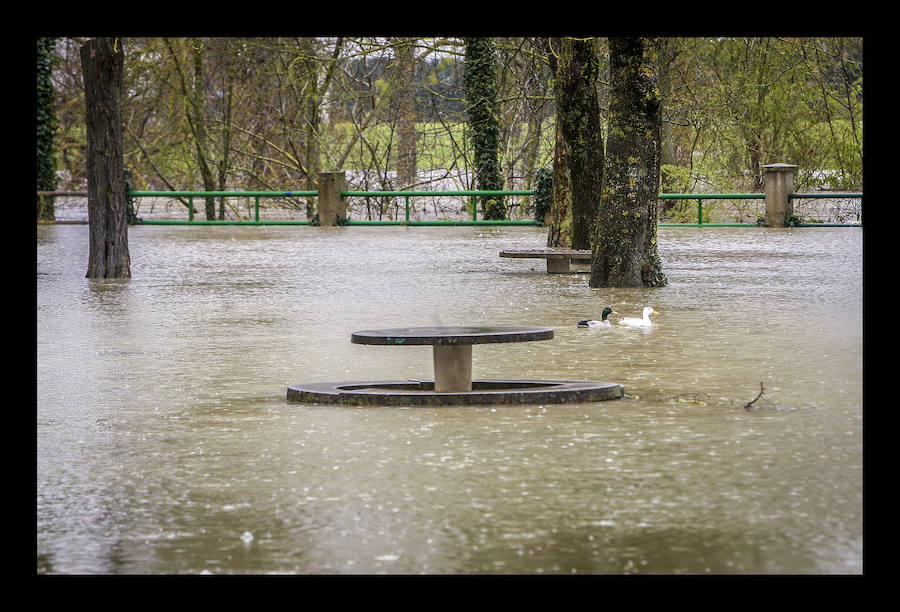 El río alavés ya se ha salido de su cauce en los puntos habituales como Abetxuko, Iurre y Asteguieta