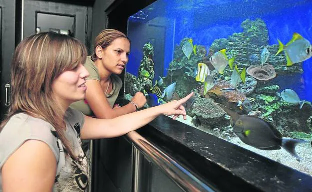 Dos mujeres observan los peces del Getxo Aquarium.