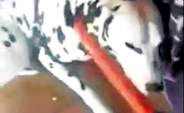 Imagen del vídeo difundido en las que golpean a Benji con un palo de hierro