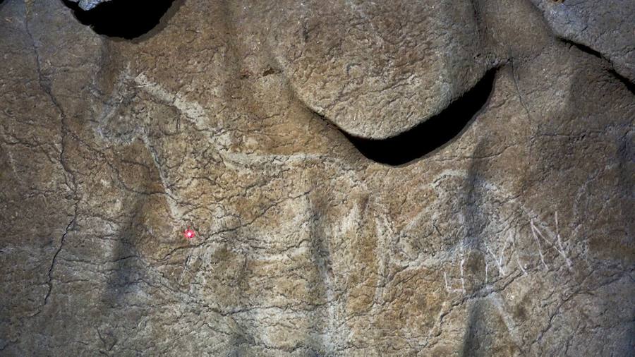 En la cueva se han hallado muchas ilustraciones de animales y los utensilios para hallarlas