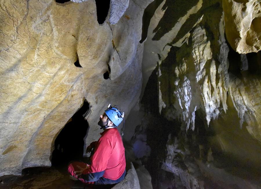 En la cueva se han hallado muchas ilustraciones de animales y los utensilios para hallarlas