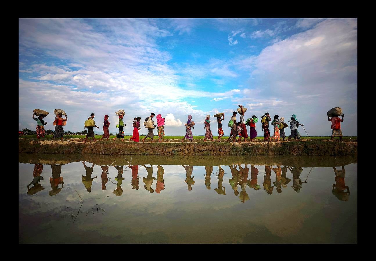Refugiados rohinyás se reflejan en el agua de lluvia a lo largo de un terraplén junto a arrozales después de huir de Myanmar a Palang Khali, cerca de Cox's Bazar (Bangladés), el 2 de noviembre de 2017.