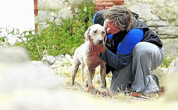Goyo, cuidador de perros de un albergue de Segovia, acaricia a 'Dania'.