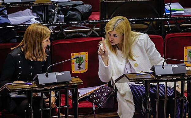 Teresa Laespada conversa con la portavoz foral, Elena Unzueta, al comienzo del pleno.