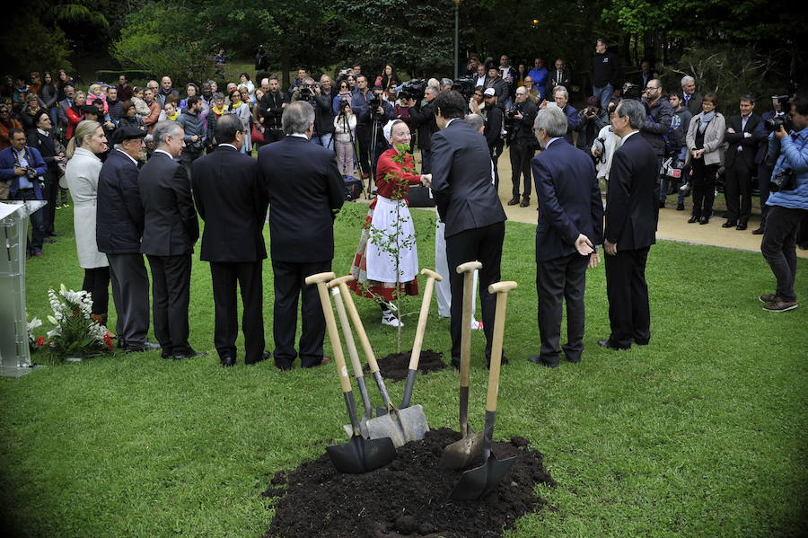 Han plantado un retoño del Ginkgoa Biloba, el único árbol que sobrevivió a la bomba atómica