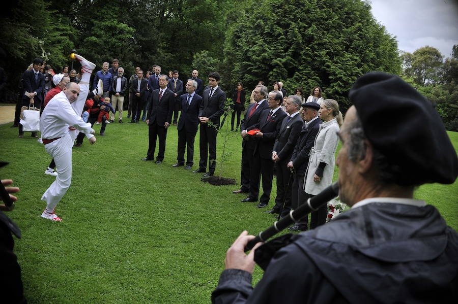 Han plantado un retoño del Ginkgoa Biloba, el único árbol que sobrevivió a la bomba atómica