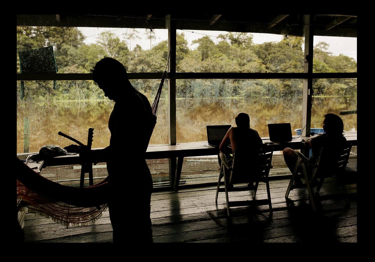 En Brasil el jaguar es una especie a la que no sólo amenazan los cazadores y la destrucción de su hábitat, sino también las inundaciones en el Amazonas. El proyecto Laurete (algunas de cuyas actividades vemos en las fotografías) investiga cómo resiste esta especie en las copas de los árboles, donde se refugian y alimentan a sus crías entre abril y julio, mientras el suelo de la selva tropical se mantiene cubierta de agua. Los «jaguares pintados» llamados así por su pelaje poblado de intrincadas manchas son difíciles de ver en la espesura, pero los investigadores les colocan rastreadores que pueden identificarlos desde las pequeñas embarcaciones con las que se desplazan a través de la jungla inundada.