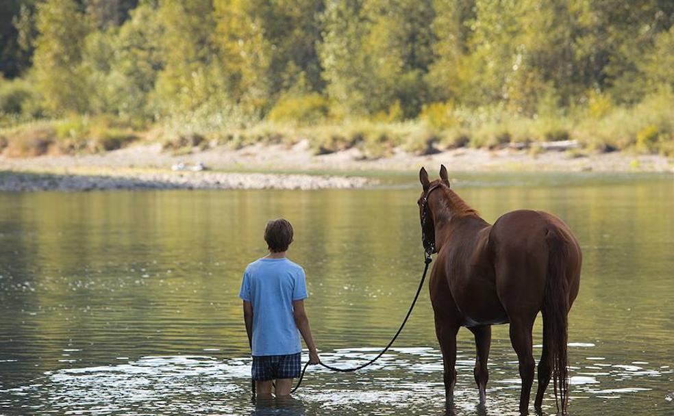 Charlie Plummer es el protagonista de 'Lean on Pete' (2018).