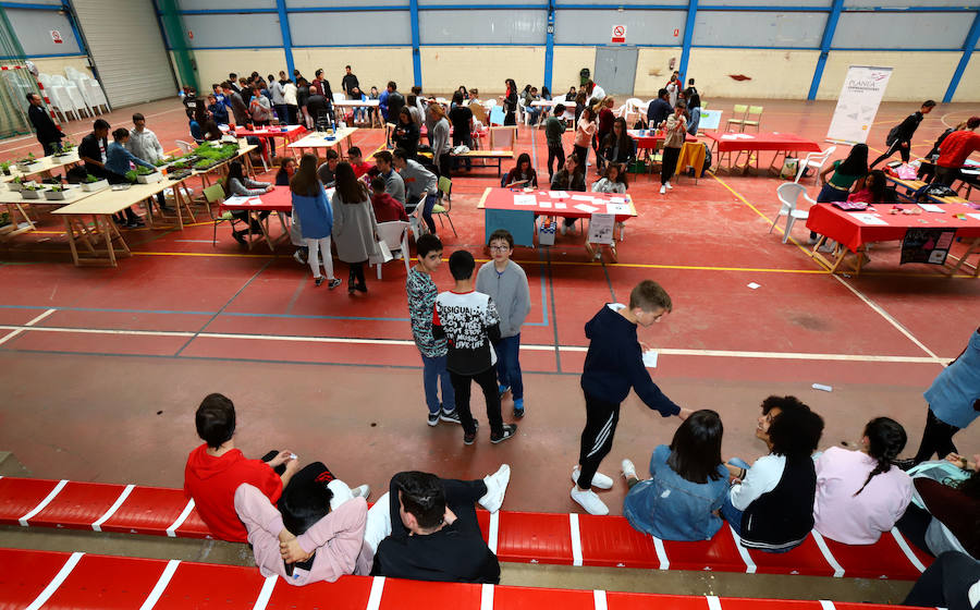 Estudiantes de 3º y 4º de ESO venden con fin social los productos del proyecto desarrollado en las aulas a lo largo del curso escolar