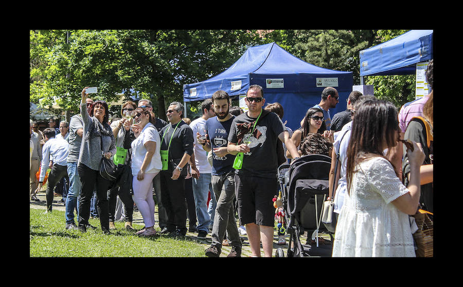 Fotos: Amurrio celebra la vigésima edición del Txakoli Eguna