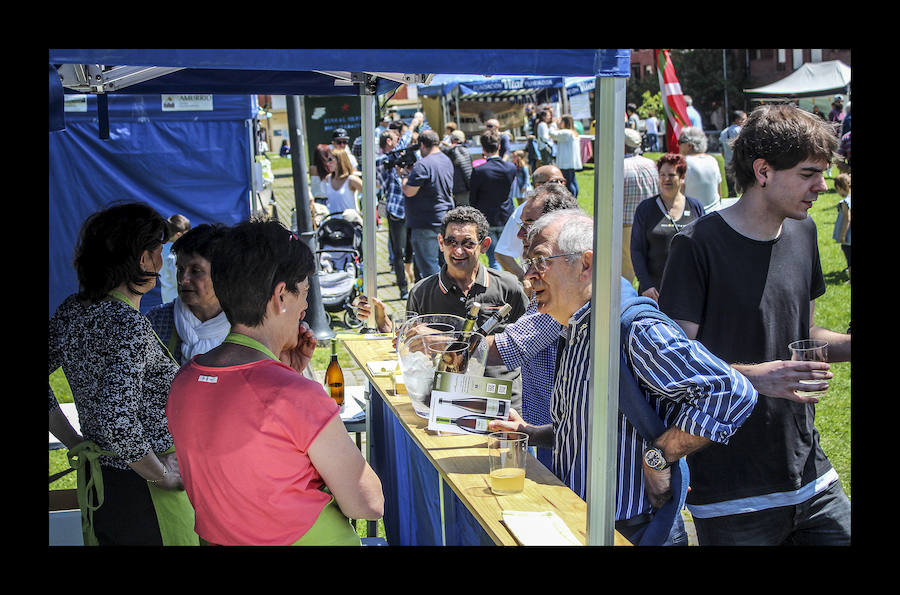 Fotos: Amurrio celebra la vigésima edición del Txakoli Eguna