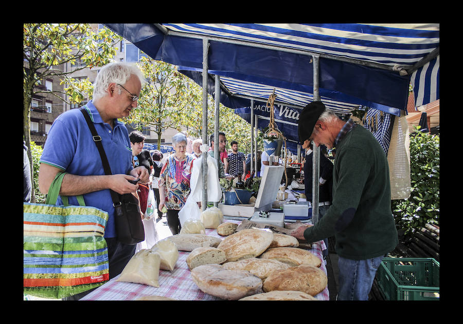 Fotos: Amurrio celebra la vigésima edición del Txakoli Eguna